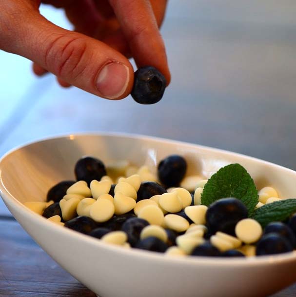 blueberries2