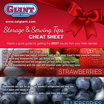 Twelve-Days-of-Sharing-6-Berry-Storage--Serving-Cheat-Sheet_360x360