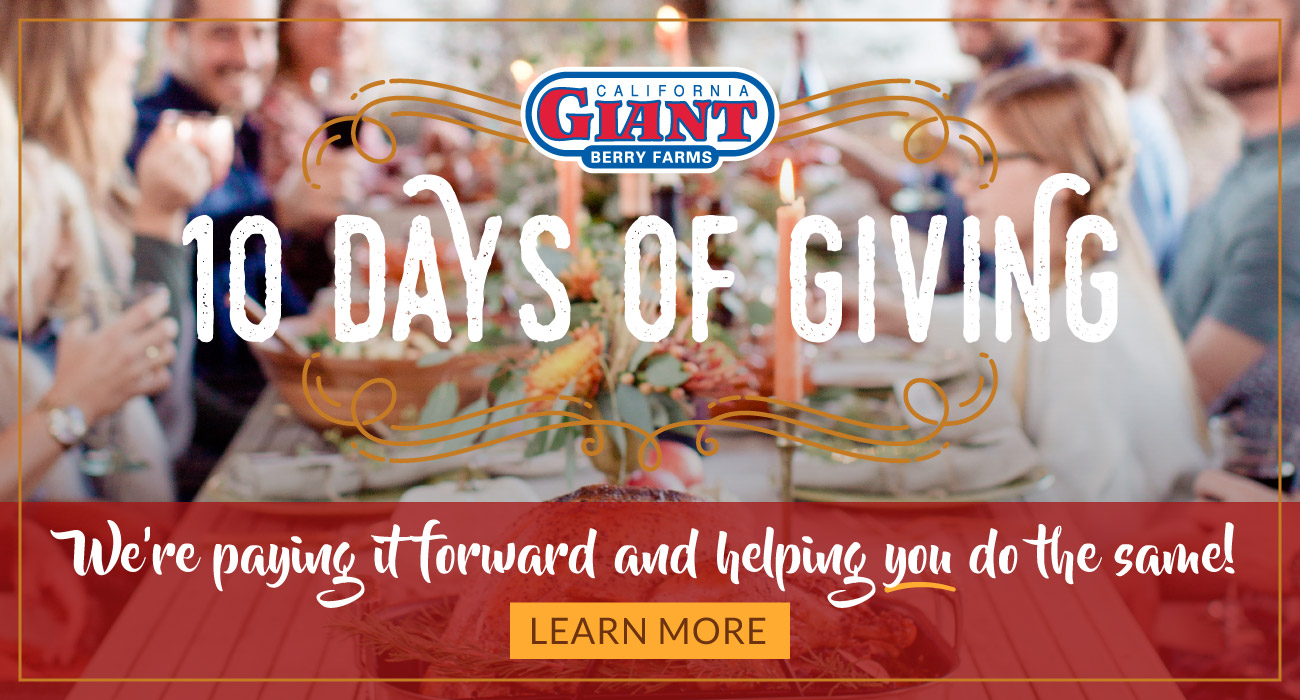 CG_10DaysGiving_fullwidth-CTA