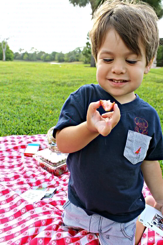 The Ultimate Spring Picnic