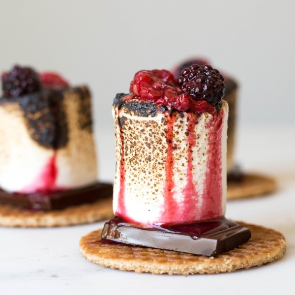 berry_smore-8-642601-edited