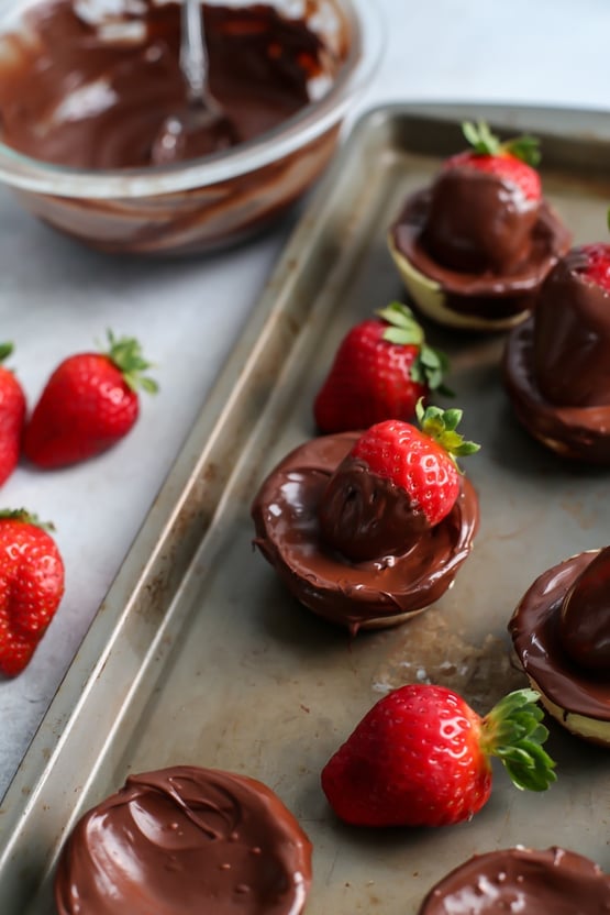 chocolate-covered-strawberry-cheesecake-3 (1)