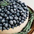 home-circle-pic-sm-paleo-and-vegan-blueberry-cheesecake
