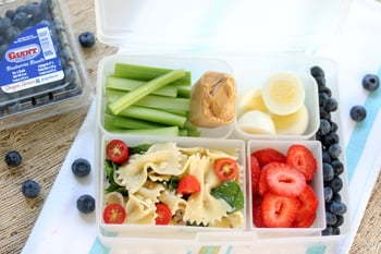 pastasaladbentoberries_orig.jpg