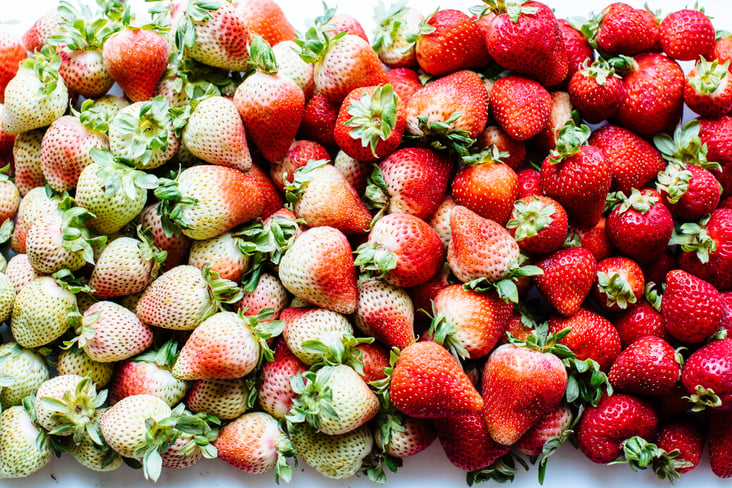 variety of strawberries with some being lighter than others