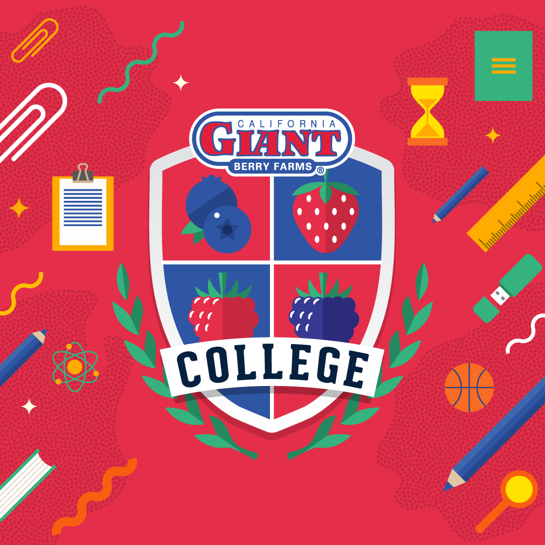 CG-College_IGcover_1080x1080